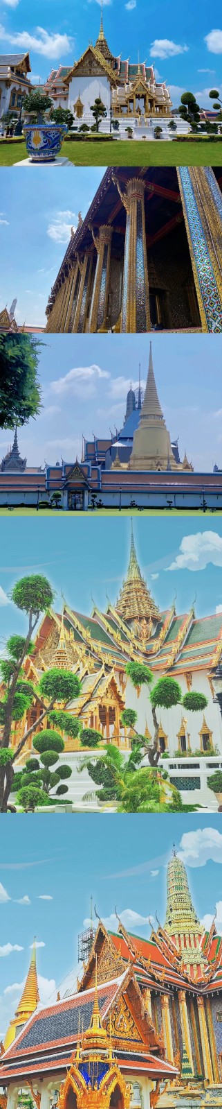 登录入口集团