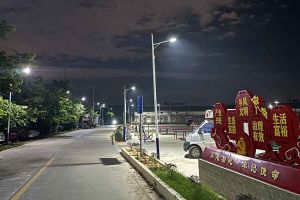 登录入口集团罗宁弟爱心捐赠路灯，点亮乡村路温暖乡民心